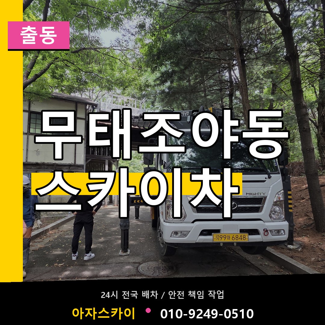 무태조야동 스카이차 안내
