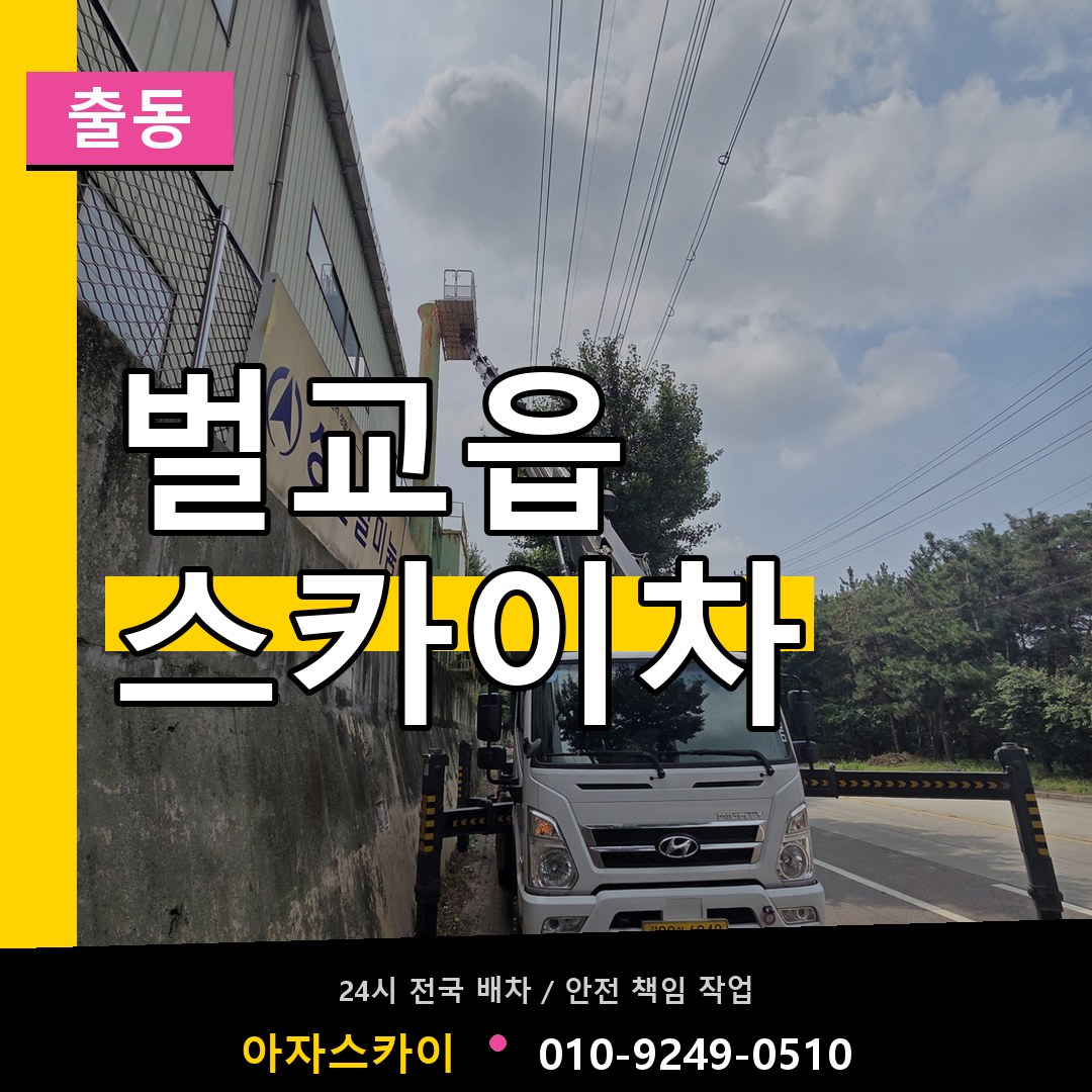벌교읍 스카이차 안내