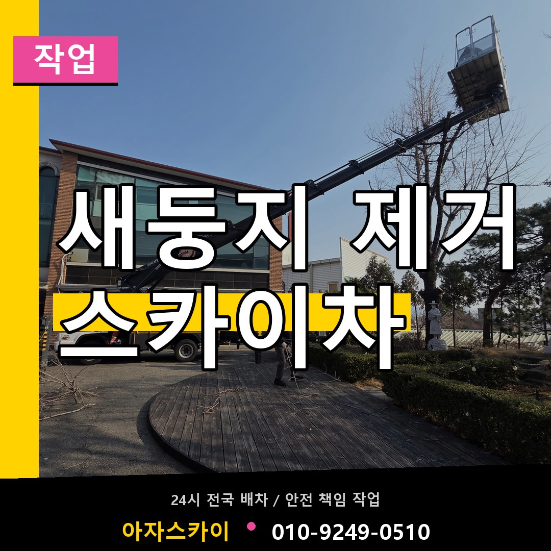 새둥지 제거 스카이차 스카이차 안내