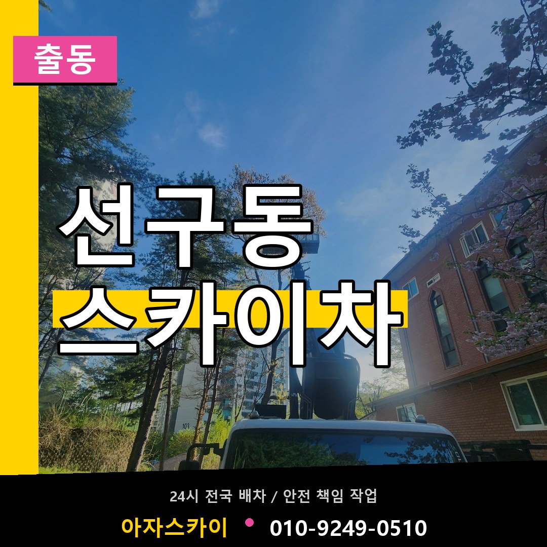 선구동 스카이차 안내