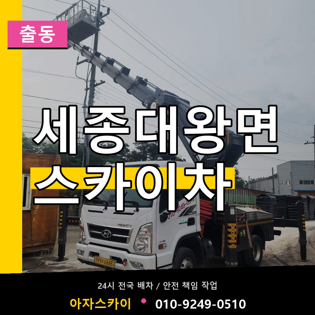 세종대왕면 스카이차 안내