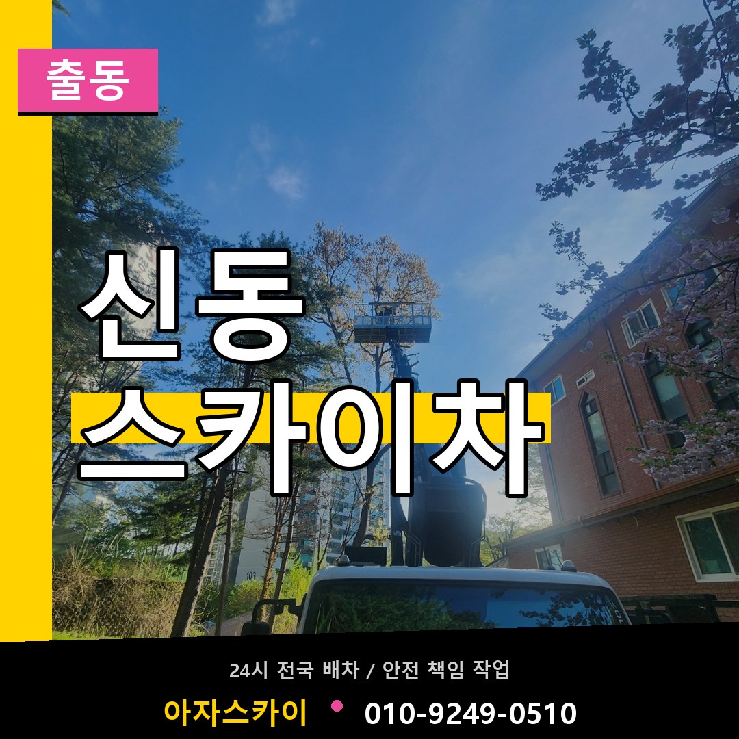 신동 스카이차 안내