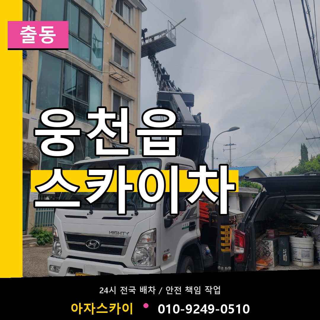 웅천읍 스카이차 안내
