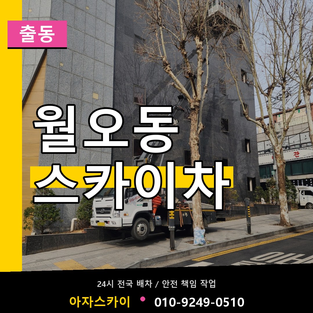 월오동 스카이차 안내